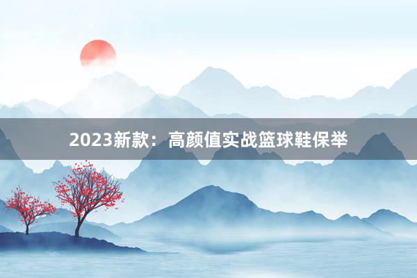 2023新款：高颜值实战篮球鞋保举